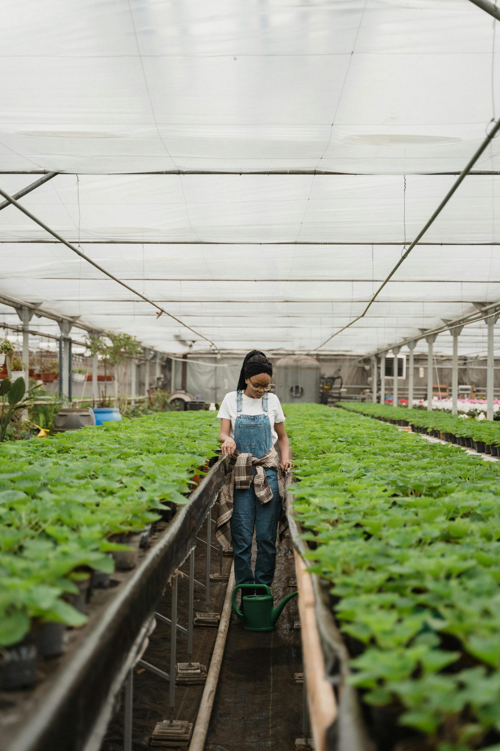 A woman in overalls tends to rows of green plants in a greenhouse, emphasizing agriculture and growth.